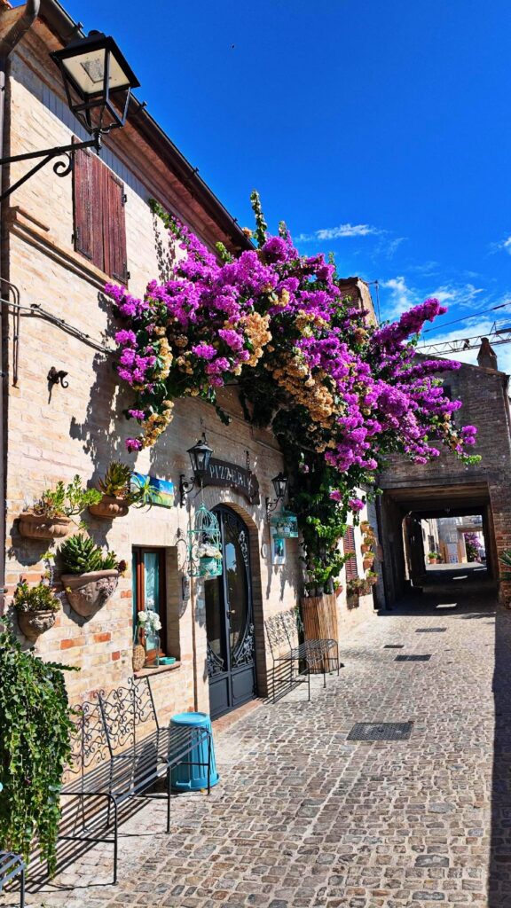 Le Bougainvillea, ornano le vie delle stupenda Torre di Palme, un borgo che non ricordavo essere così denso di emozioni.